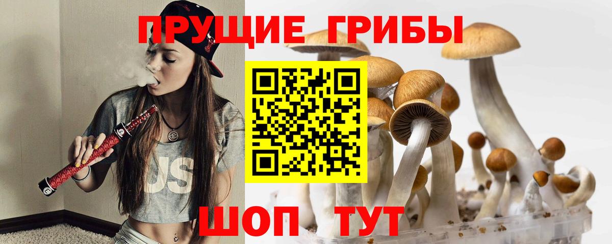 Псилоцибиновые грибы прущие грибы Уварово